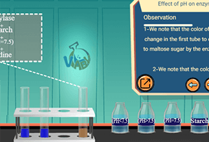 Effect of pH on enzyme activity