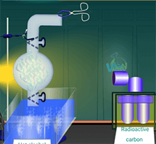 Kelvin experiment