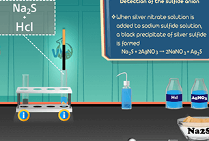 Detection of sulphide anion