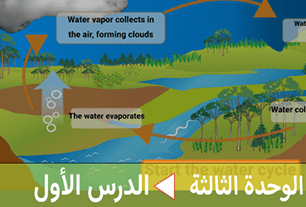 دورة الماء