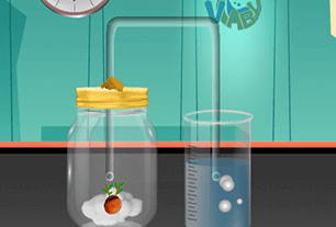 Detection of carbon dioxide gas during plant respiration