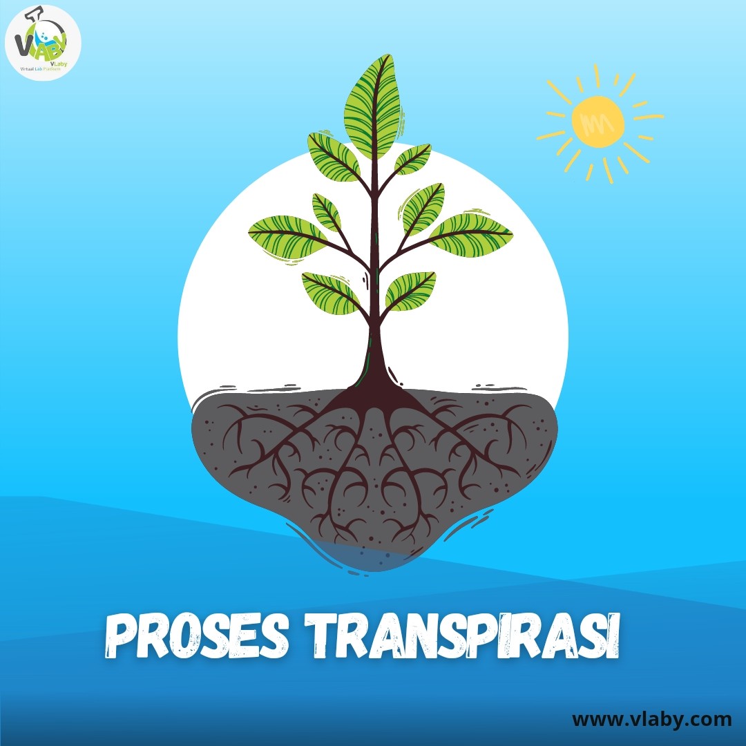 proses transpirasi