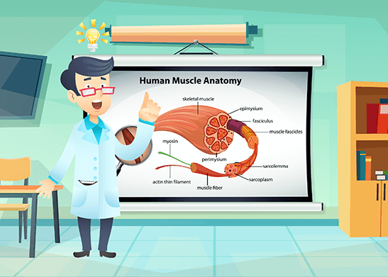 All experiments and activities